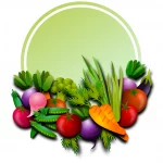 alimentação saudável